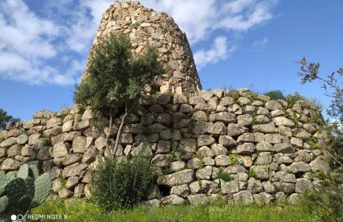 Diongard House - Foto 6