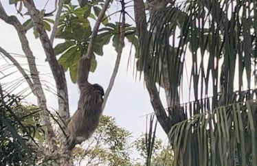 Vista da Pedra Flat em Pedra Azul - Photo 33