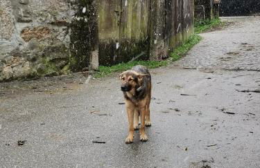 Casa do Faqueiro de Casas Brioso - Foto 24