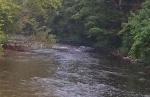 The Landing on Shavers - Foto 21