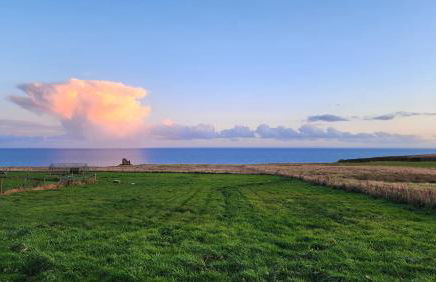 Castle Shieling - Foto 21