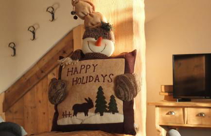 Mini Maule - Foto 26