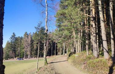 Haus Wander-Lust - Foto 53