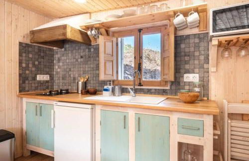 El Pino Centenario 3 - Foto 9