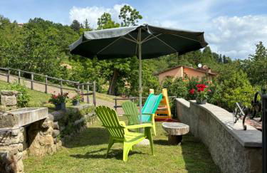 Voce del Casentino - Foto 26