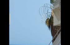 Artemis sea house - Foto 31