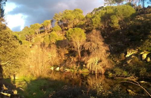 La Plazuela del Tiétar, diseño y descanso en Gredos sur - Foto 47