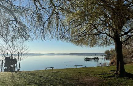 Ruhige zentrale 2 Zimmer Wohnung mit Balkon in Schwerin - Foto 31