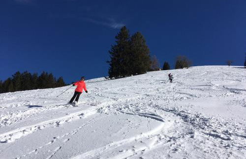 Ferienhof Wäldle - Wäldle 1 und Wäldle 2 mit Motorradvermietung - Photo 69