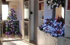 Cactus house - Foto 30