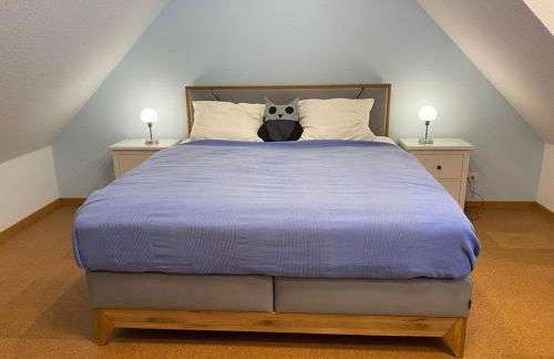 6010 Hollige 20 - Foto 15