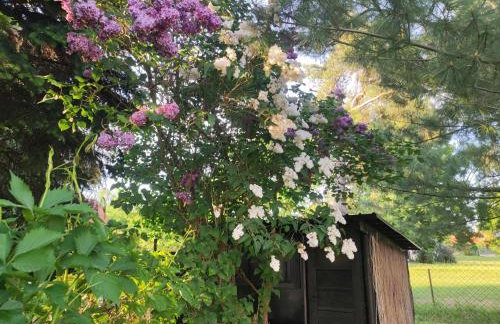 Tonkielek - Domek z Jacuzzi Nad Rzeką Bug - Foto 21