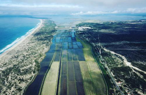 Little Suite - Foto 14