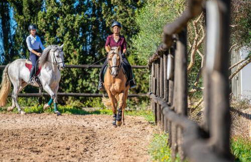 Finca Agroturismo Son Menut - Foto 76