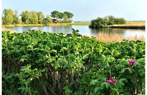 SchönErleben - Foto 13