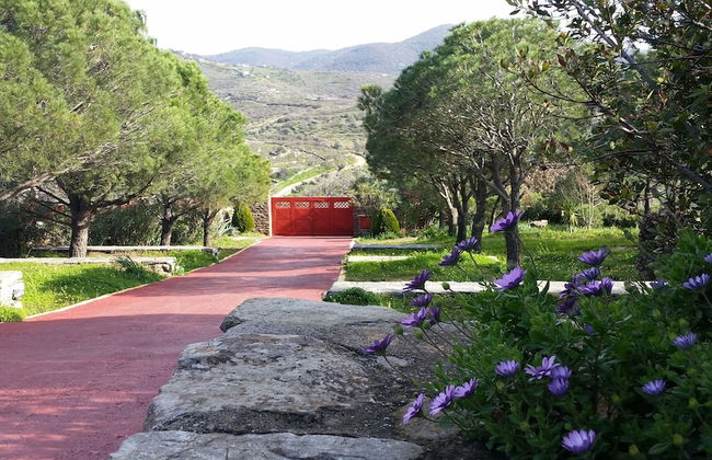 Green Island Resort Kea - Foto 65