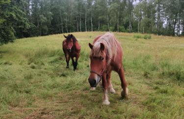 Jeziorna 26 - Foto 47