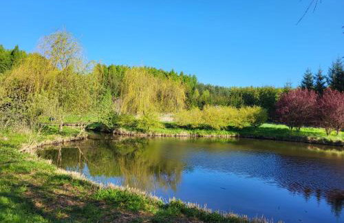 Dom Malarki - Foto 40