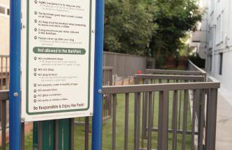 Lux Oasis in West Hollywood, Free Parking & Swimming pool - Foto 55