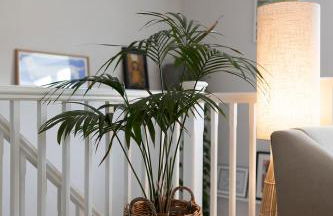 The Barn, Chipping Norton, Cotswolds - Foto 35