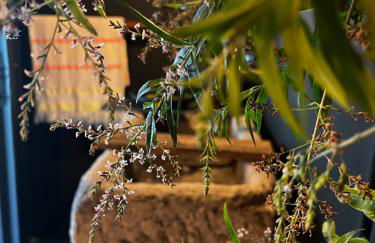 Casa da Horta - Foto 77