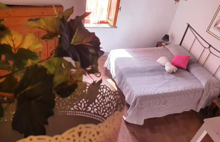 Agriturismo Il Pillone - Foto 8