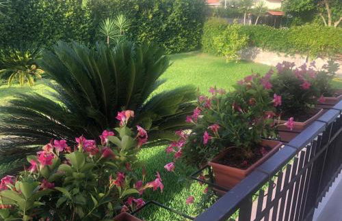 La casa di Asia - Foto 4