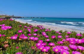 La Casa Di Madia - Foto 71