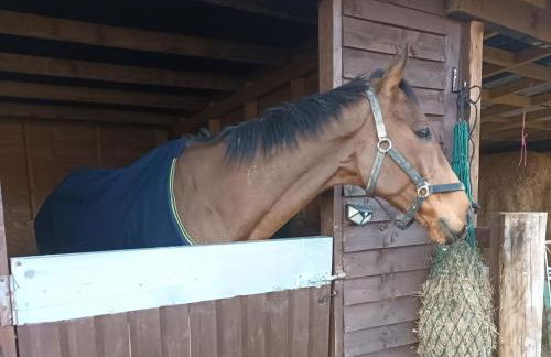 2 Bed in Llandrindod Wells oc-88203 - Foto 21