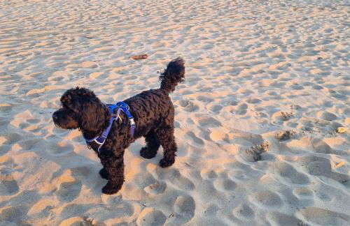 Beach View Couples Retreat Aberavon Beach Direct Seafront panoramic Sea Views large driveway parking - Photo 12