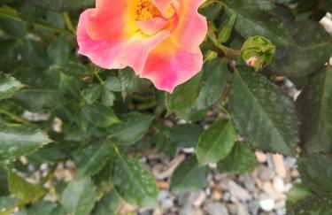 Casa vacanze Acero rosso - Foto 35