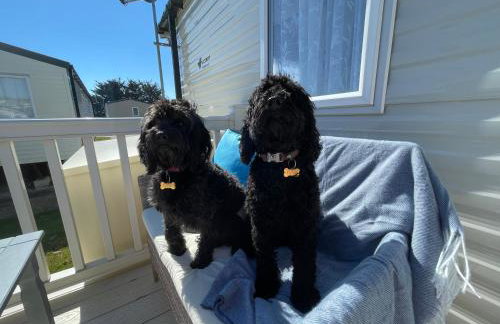 Golden Dunes Retreat, Dog-Friendly Stay at Par Sands Holiday Park, Cornwall - Photo 30