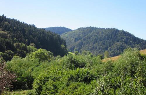 Ferienwohnungen Schwabenhof - Foto 12