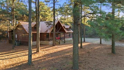 Came Here to Forget Cabin - Foto 4