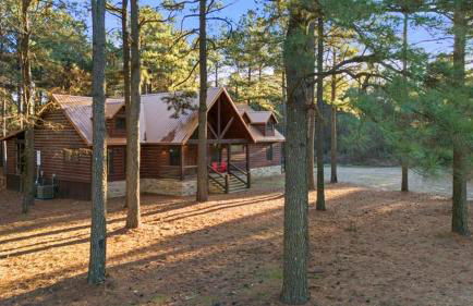 Came Here to Forget Cabin - Foto 4