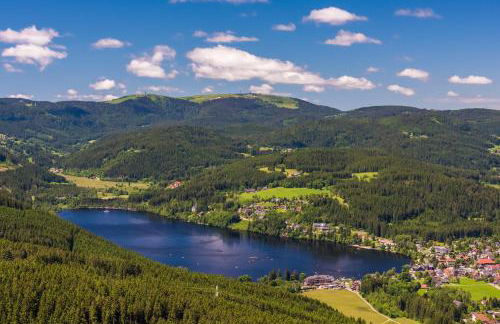 Ferienwohnung "Mettmatalblick" mit privater Sauna, Ühlingen-Birkendorf - Foto 27