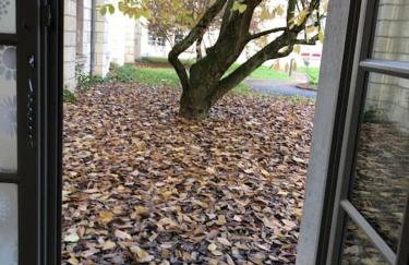 Chez Mat et Gab proche centre ville - Foto 22