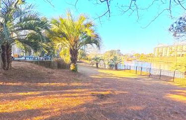 Paradise on Ocean Waterway Huge 5000 sq ft w Private Pool, Boat Dock, Grand Piano, Game Tables, BBQ, 1 acre Yard, Crib, Sleeps 34 - Photo 45