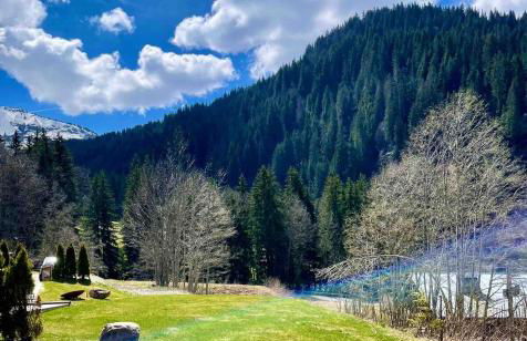 Apartment in new chalet with private garden - Foto 22