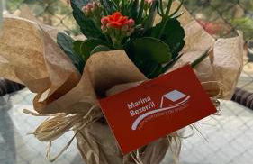 Marina Bezerril - 1002 Pontamares - O melhor de Natal - Foto 11