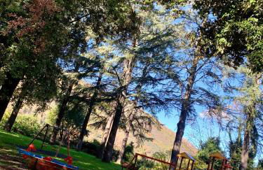 Collacchio 24 - Foto 57