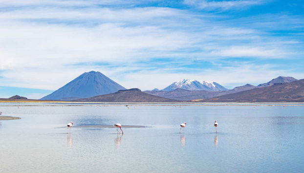 Réserve nationale Salinas