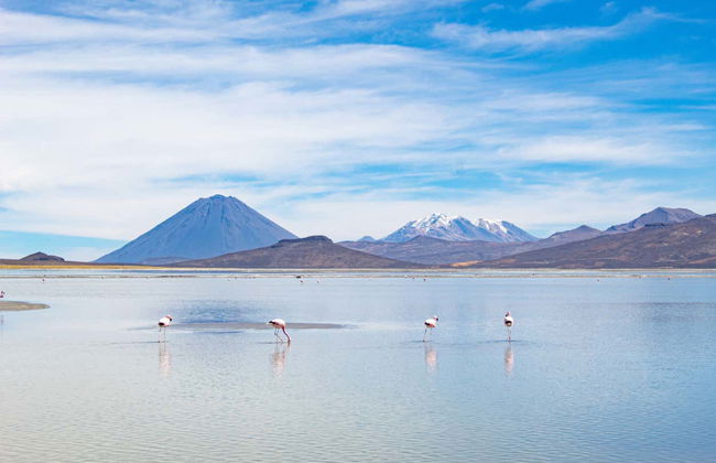 Trekking nella Valle del Colca di 2 o 3 giorni - Foto 3