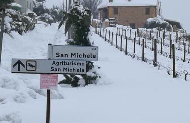 Agriturismo San Michele - Foto 45