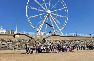 Fully accessible bungalow by the Beach - Photo 32