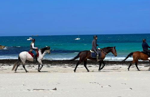 Villa de la plage de Plouescat - Foto 38