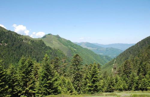 La Grange de l'Ours - Foto 37