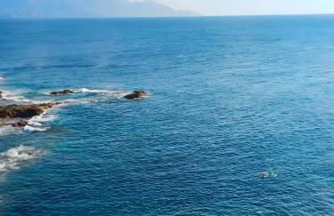 Dragon View - Foto 21