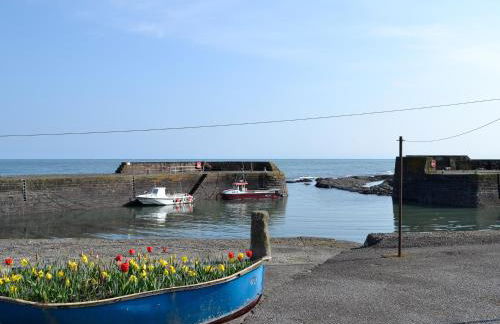 Harbour View - Photo 18