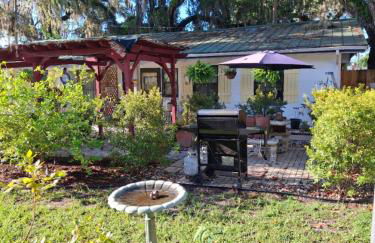 The Three Sisters - Pelican Crystal River FL - Foto 32